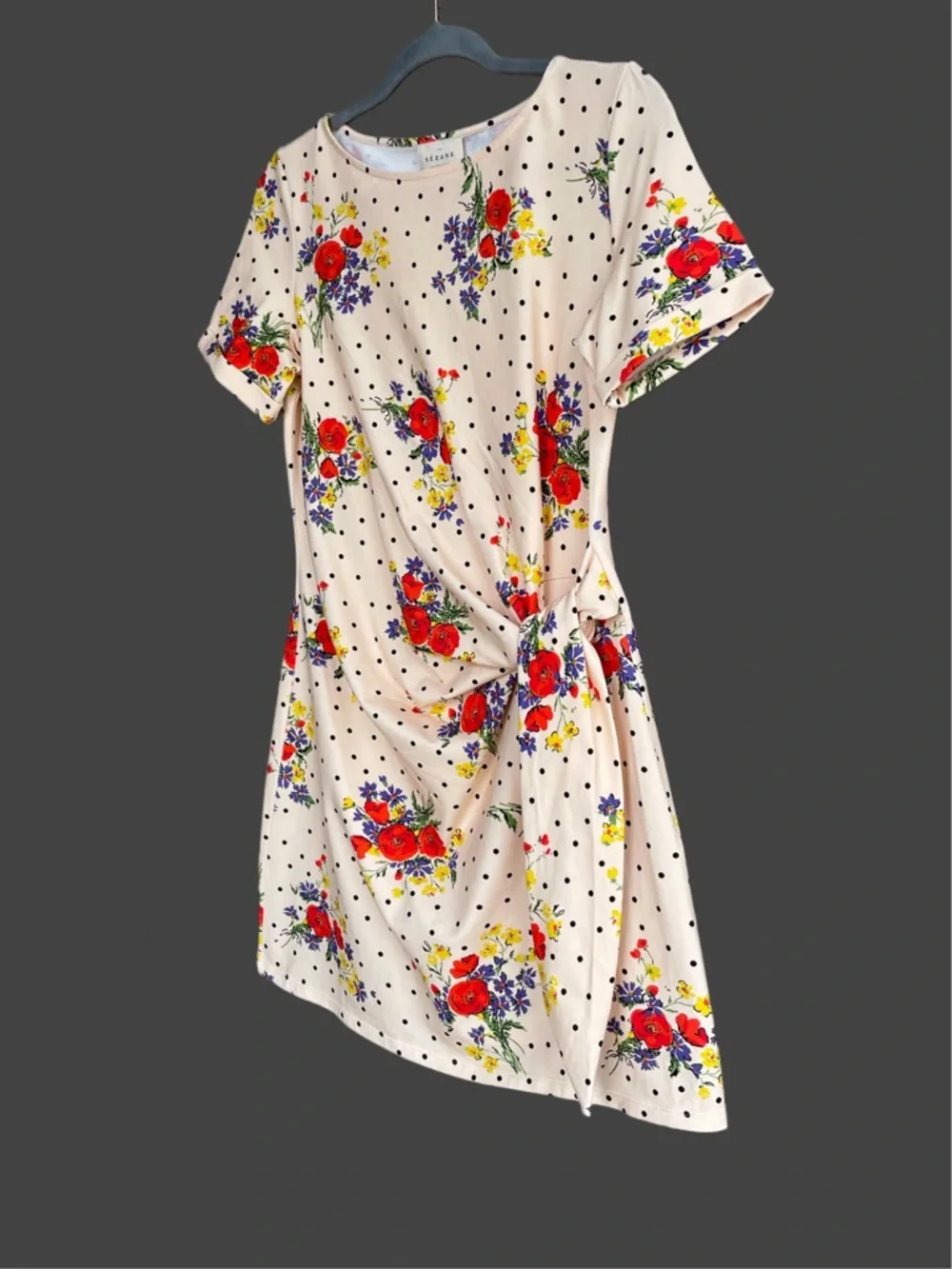 Sezane Cream short Pippa Dress with Red Floral Print NWT - Picture 11 of 15